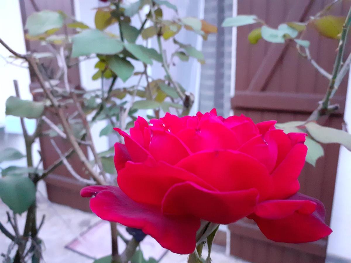Chambre D'Hote Chez Titi 欧当日 外观 照片